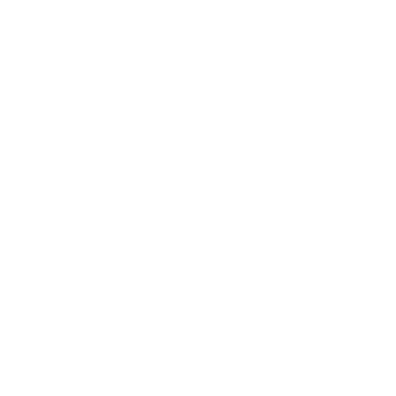 Partner17.png